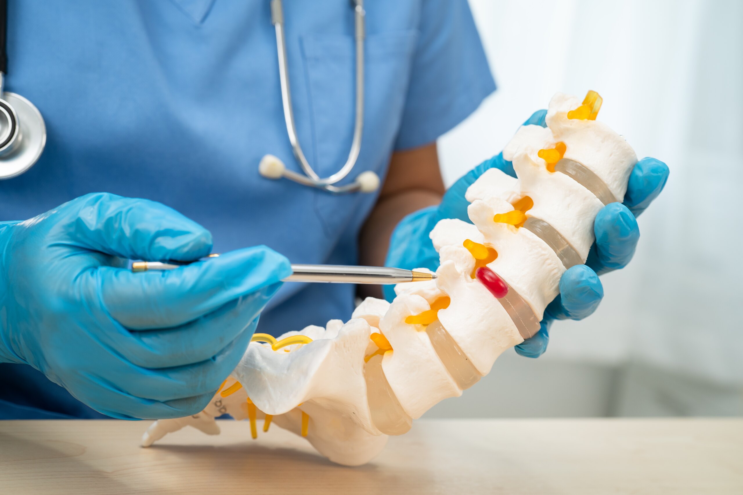 A medical professional in blue scrubs points a pen toward a specific vertebrae on a detailed anatomical model of the human spine.