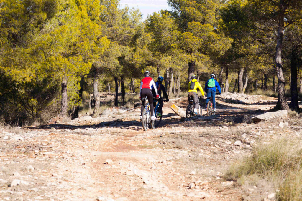 A group of four cyclists riding mountain bikes down a rocky dirt trail surrounded by green pine trees, illustrating recreational riding scenarios handled by Utah Bicycle Accident Lawyers.
